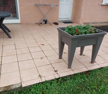 Salies-de-Bearn Apartment | Grande maison sur 2000m° de terrain