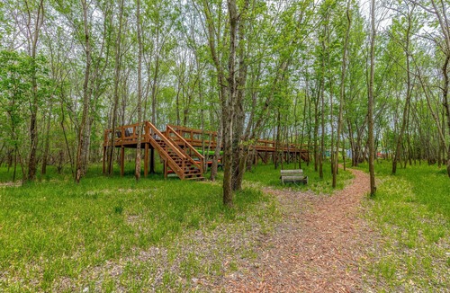 Grove Cottage | GrandLake*Kayak*Forest View*Firepit*King*Lakefront