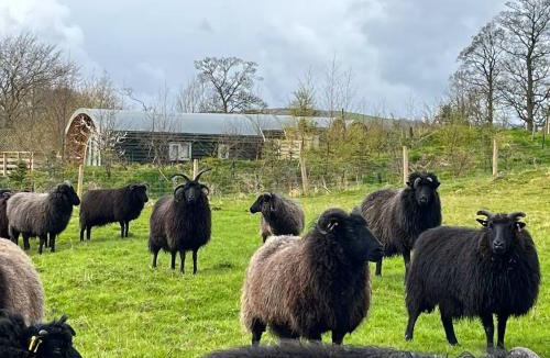 Sutton-in-Craven Other | Grange Beck Farm Glamping
