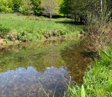 Sagnes-et-Goudoulet Bed & Breakfast | Grange - Mont Gerbier de Jonc