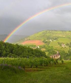 Goutrens House | grange rénovée en pleine nature