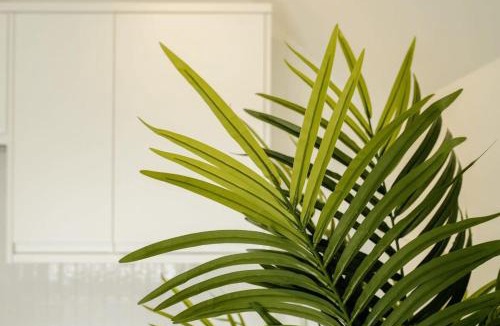 Clifton Apartment | Grange Rd Flat 5 one bedroom