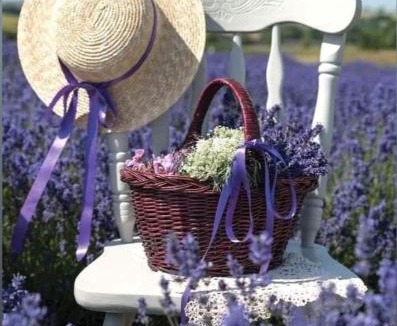 Mane House | Grange Voutée avec jardin