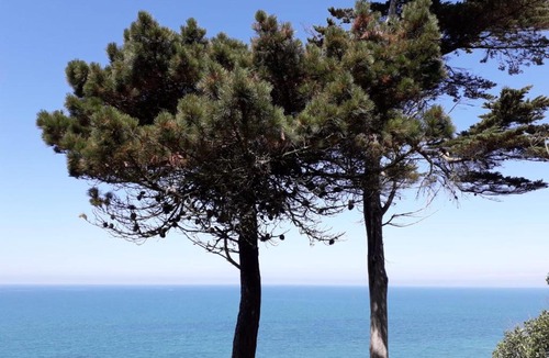 Granville Apartment | Granville Plage Plat Gousset