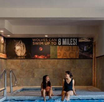 West Yellowstone Hotel | Gray Wolf Inn & Suites