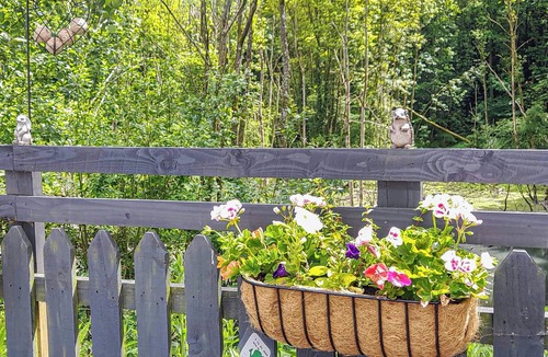 Brigham Cottage | Graylings Rest - UK35759