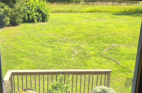Middleville House | Great 2 bedroom home in the country and close to shopping and wildlife.