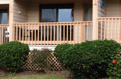 Folly Field Condo | Great amenities, CLEAN, Convenient - Completely renovated in 2026!