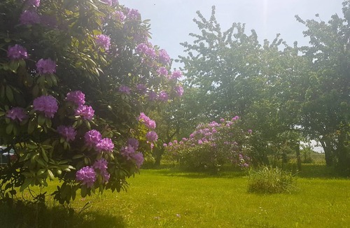 Quebriac House | Great Breton charming house