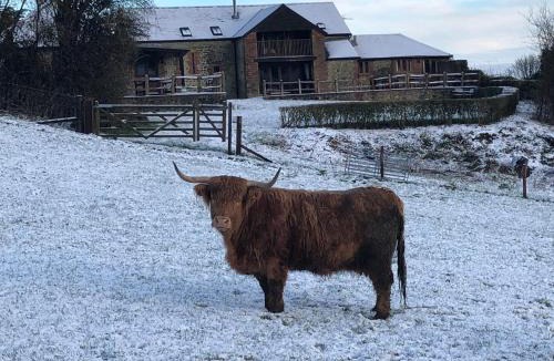 Pulham House | Great Coombe, Bookham Court