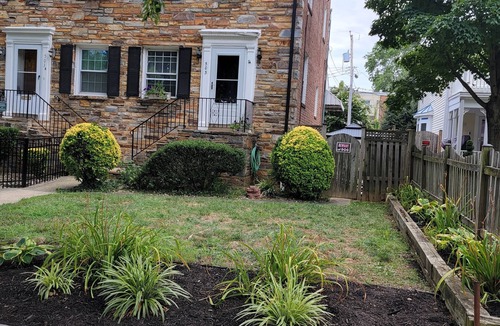 Del Ray House | Great Delray, Alexandria, Lower Unit, SAFE, big backyard, metro,nnear Old Town