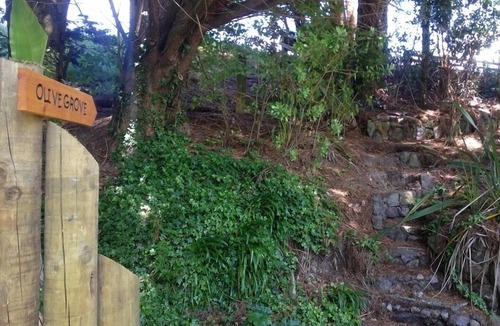 Tikitere Cottage | Great funky farm Studio from which to explore Rotorua