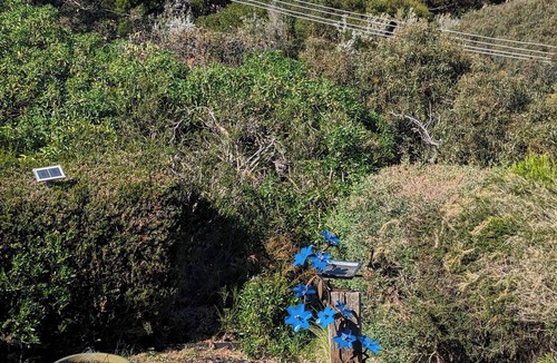 Fairhaven Apartment | Great Ocean Road Beach Haven