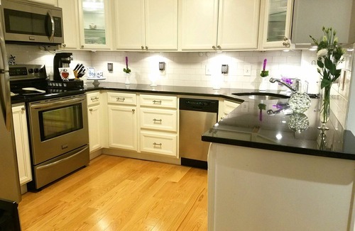 Columbus Condo | Great South End/Back Bay location, 1 bed condo near T station