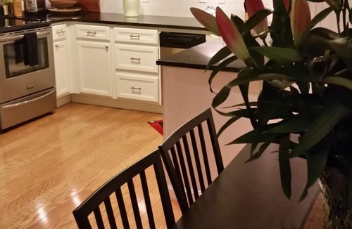 Columbus Condo | Great South End/Back Bay location, 1 bed condo near T station