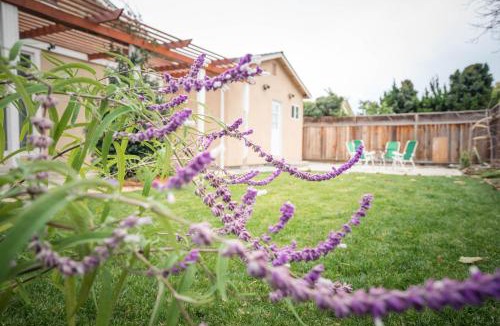 Berryessa House | Great Stay in San Jose