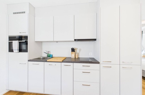 Rapperswil Apartment | Great studio in the center of Rapperswil - Studio 3