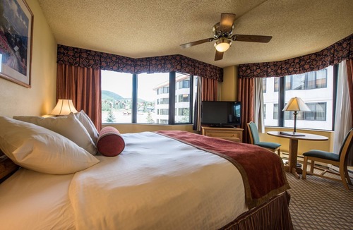 Mount Crested Butte Cabin | Great Value! Cozy + Rustic Room with Sauna Access