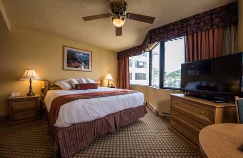 Mount Crested Butte Cabin | Great Value! Cozy + Rustic Room with Sauna Access
