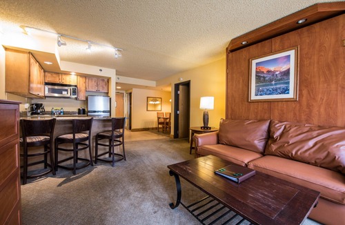 Mount Crested Butte Condo | Great Value! Well-Equipped Condo in Crested Butte