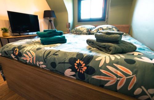 Louviers Apartment | Green cosy