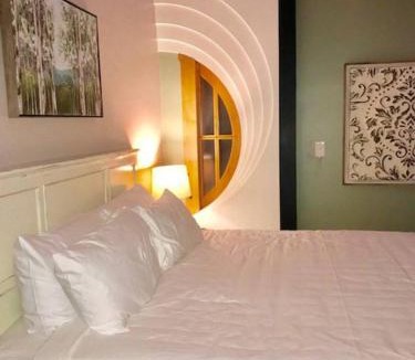 Brazos Apartment | Green Door Lofts -Magnolia Loft, Silos/Downtown