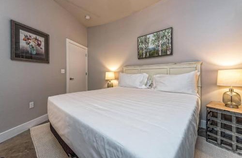 Brazos Apartment | Green Door Lofts -Magnolia Loft, Silos/Downtown
