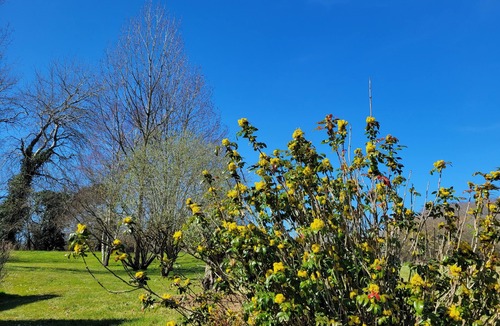 Saint-Martin-des-Marais House | Green estate 10 minutes from the sea