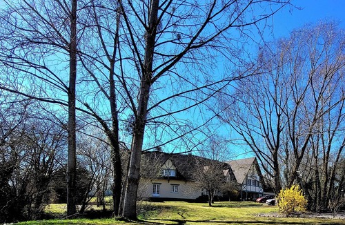 Saint-Martin-des-Marais House | Green estate 10 minutes from the sea