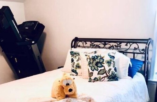Summerville House | Green Gables