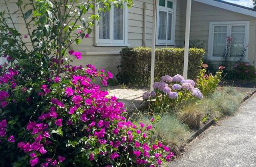 Whangarei House | Green garden home