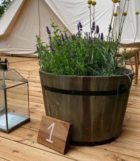 Sønderborg Other | Green Glamping
