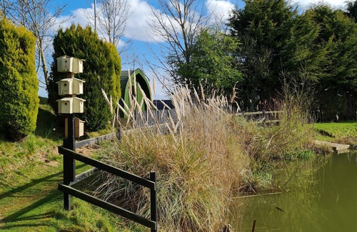 Boston Cabin | Green Haven Glamping Pod Barn Owl