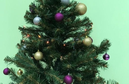 Saransk Hostel | Green hostel