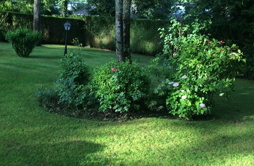 Savigny-sur-Clairis Cottage | Green house for rent