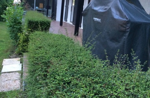 Savigny-sur-Clairis Cottage | Green house for rent