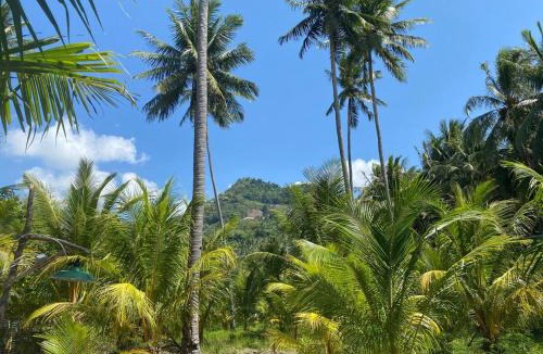 Sulawesi Cabin | Green Pearl Paradise Camp