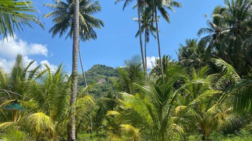 Sulawesi Cabin | Green Pearl Paradise Camp