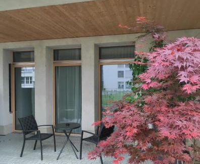 Widnau House | Green studio inside Europes largest hemp building, made by openly