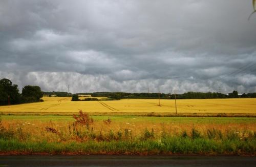 Wendling Hotel | Greenbanks Hotel Norfolk
