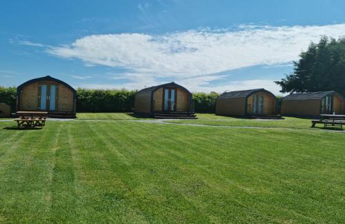 Buckie Other | Greencraig Pods