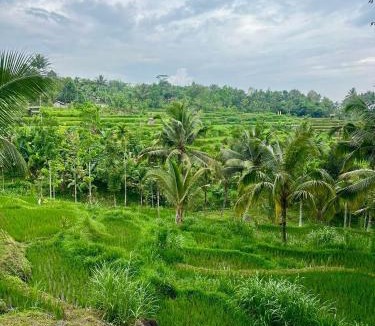 Tetebatu House | Greenday bungalows