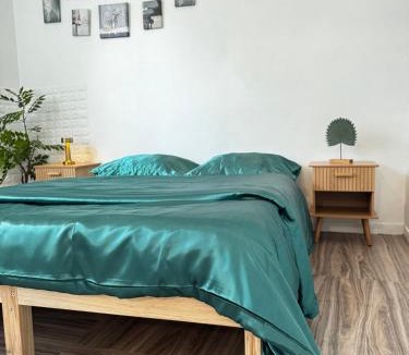 Corbeil-Essonnes Apartment | greenhouse home