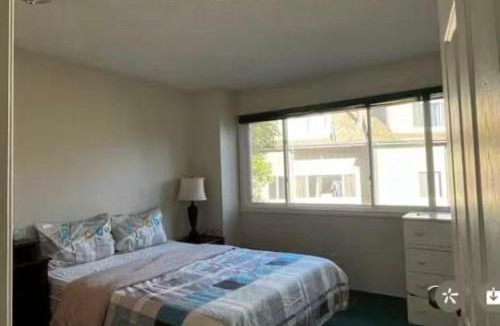 Calgary House | greenview mck sunny room