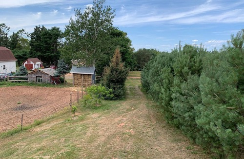 Flat River Cottage | Grey Bear Cottage