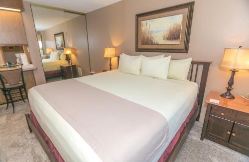 Ocean Shores Apartment | Grey Gull