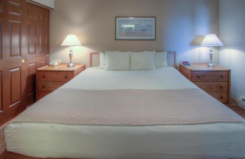 Ocean Shores Apartment | Grey Gull