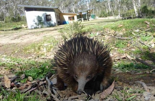 Kangaroo Valley House | Grey Gums - feel the serenity