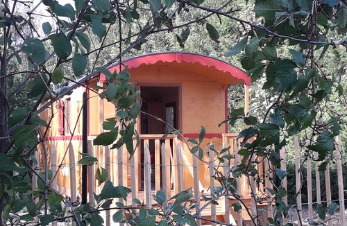 Audeville Cabin | Grey partridge trailer