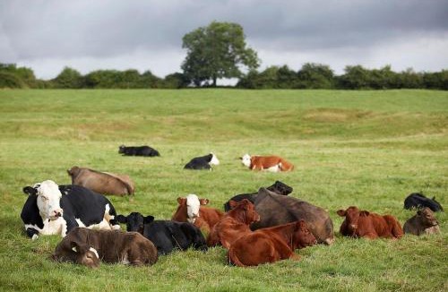 Southrop House | Grey's Court Cottages